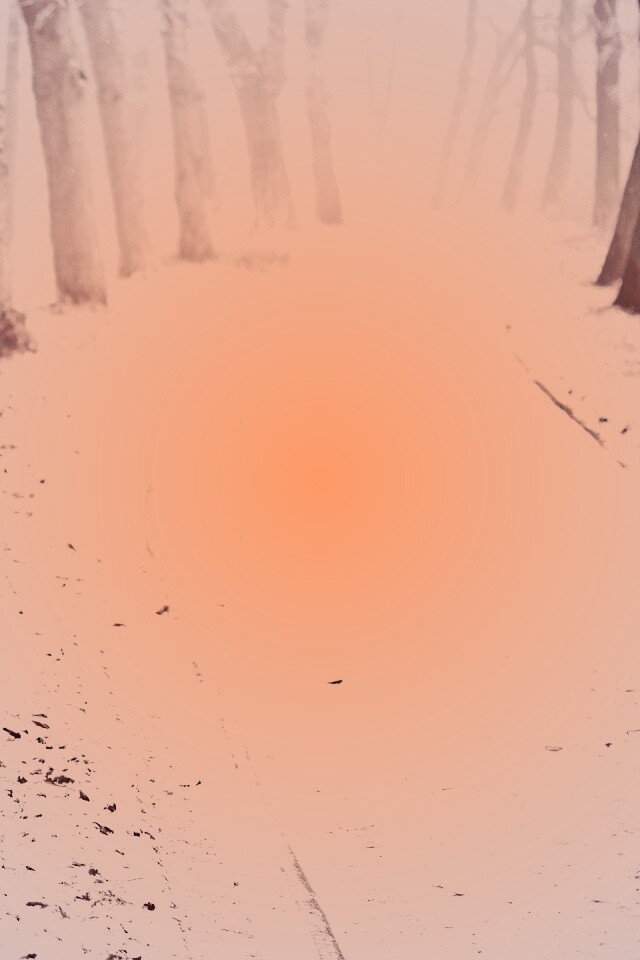 Дорога в зимнем лесу обои