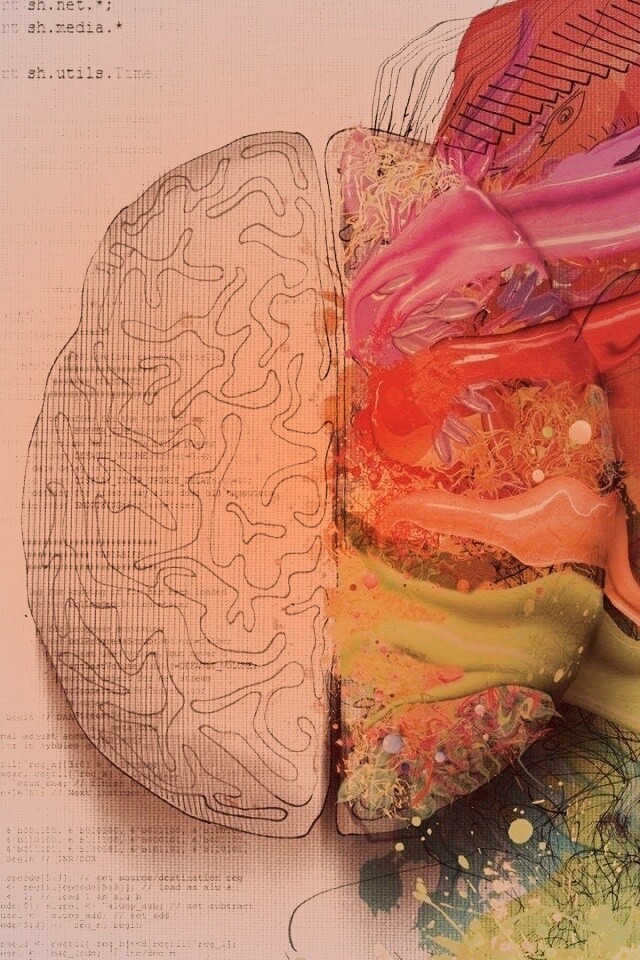 Различия левого и правого полушария обои