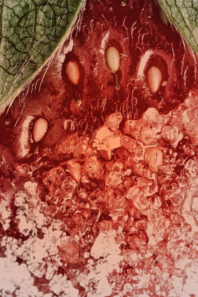 Клубника в сахаре обои