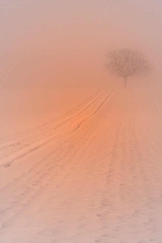 Заснеженное поле обои