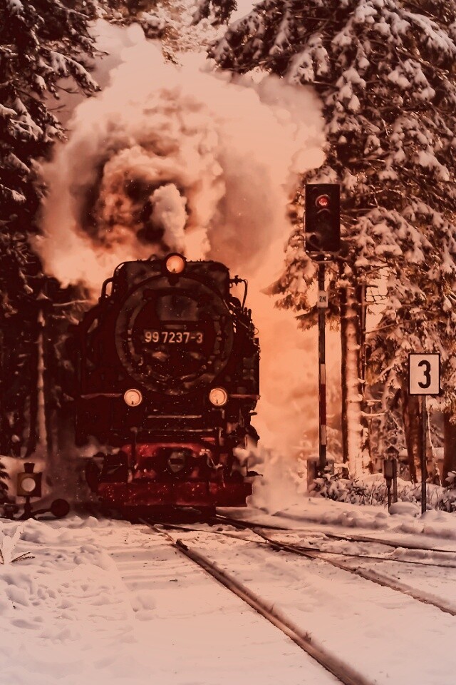 Паровоз в димнем лесу обои
