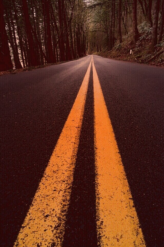 Дорога в лесу обои