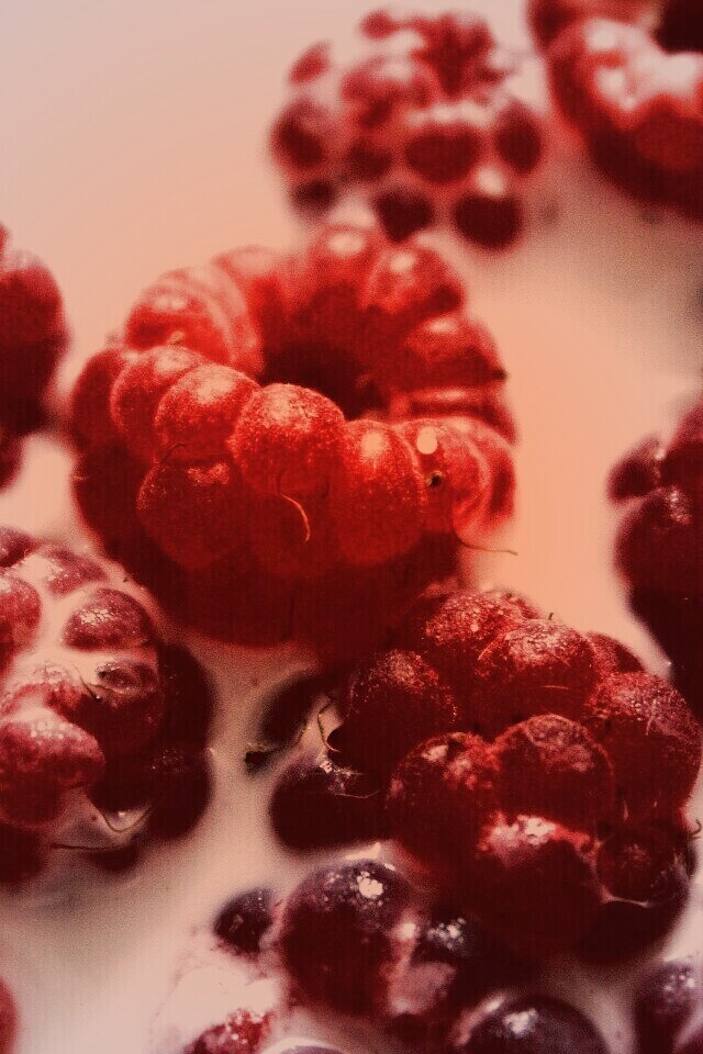 Малина в молоке обои