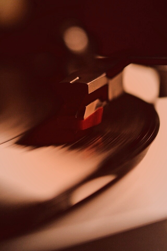 Пластинка обои