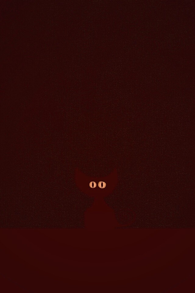 Чёрный кот в ночи обои