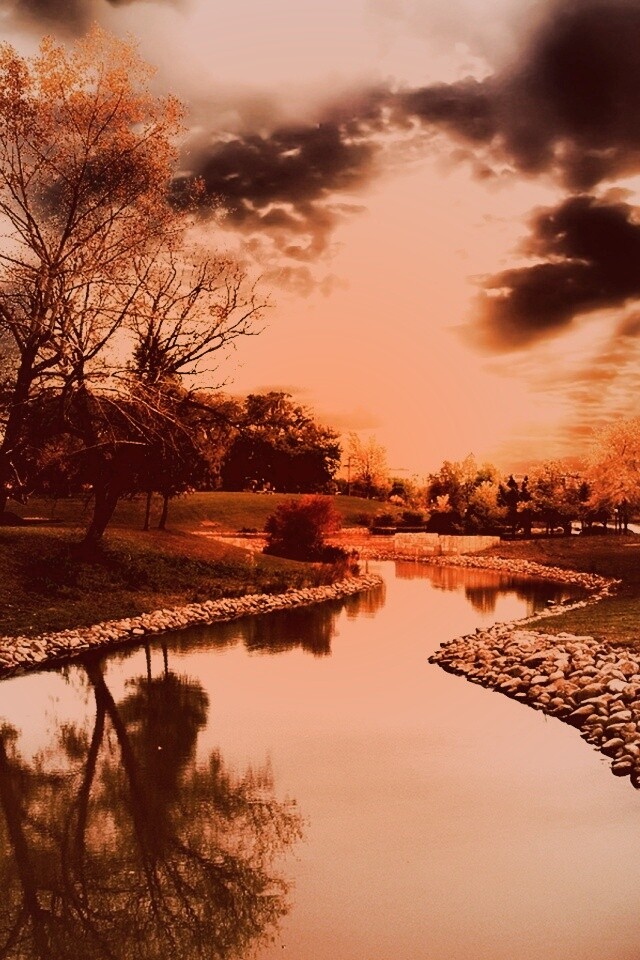 Осенний день в парке обои