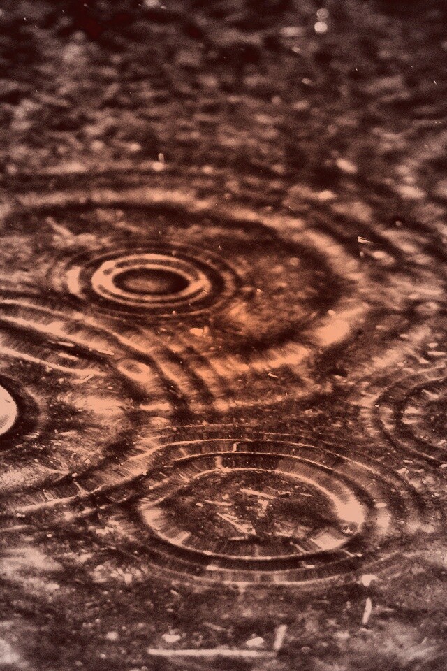Круги на воде обои