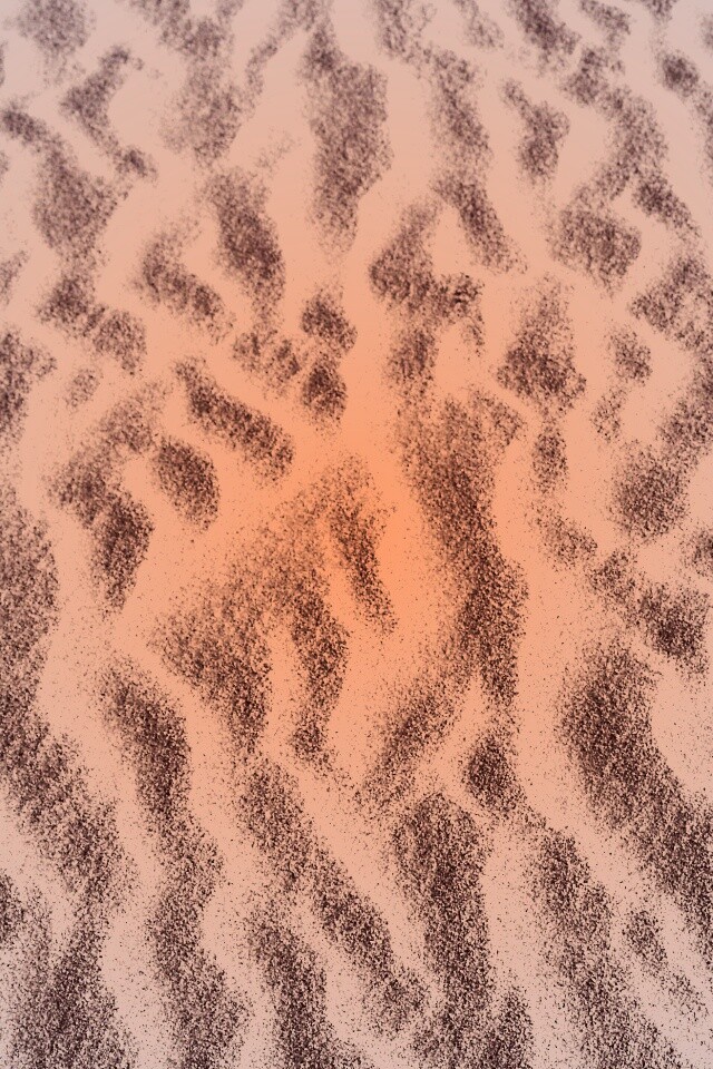 Пески пустыни обои