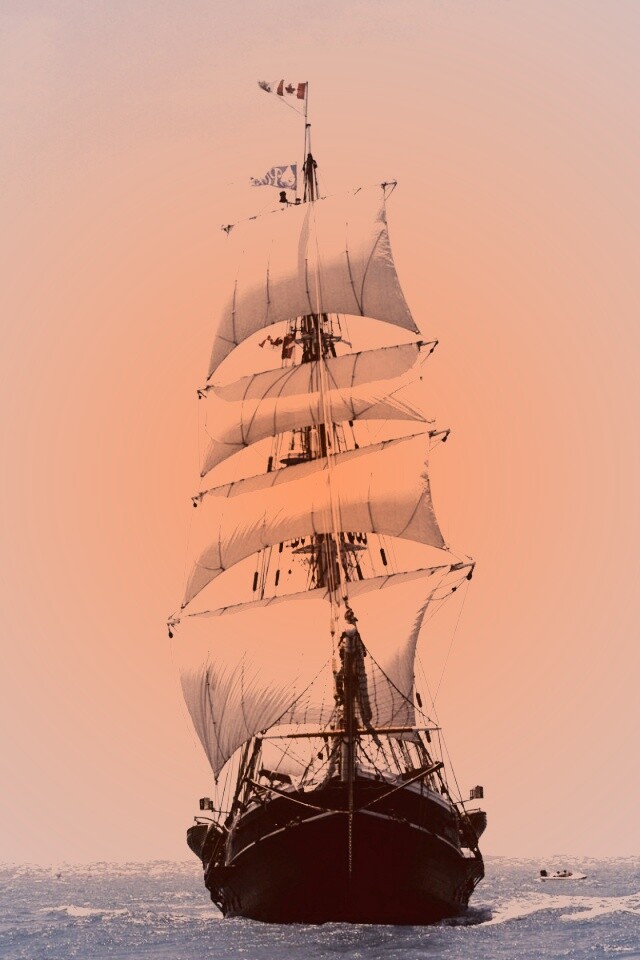 Парусник обои