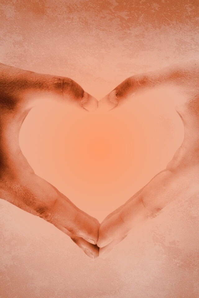 Сердце из сложенных рук обои