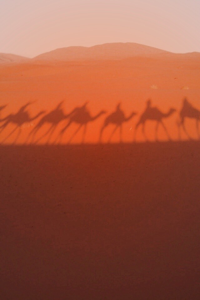 Караван обои