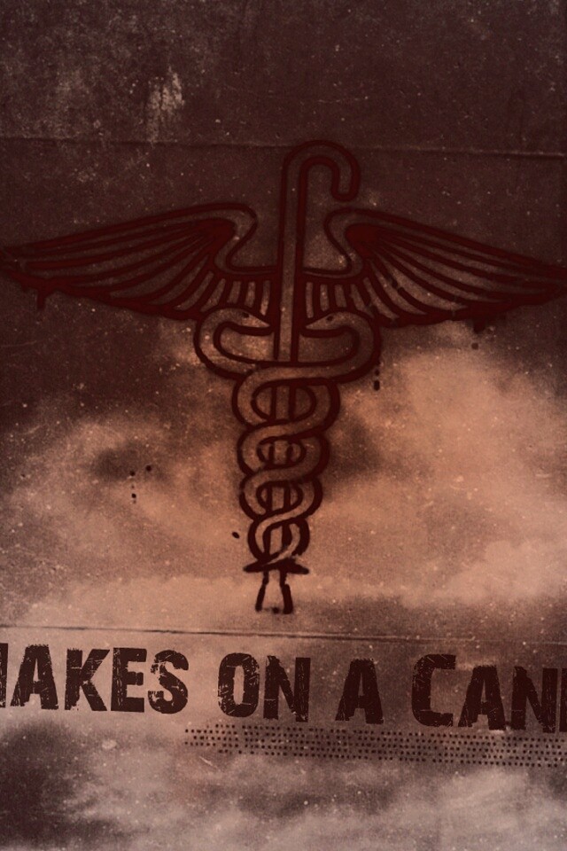 Змеи на трости обои