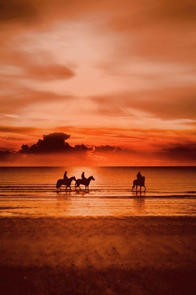 Наездники на закате обои
