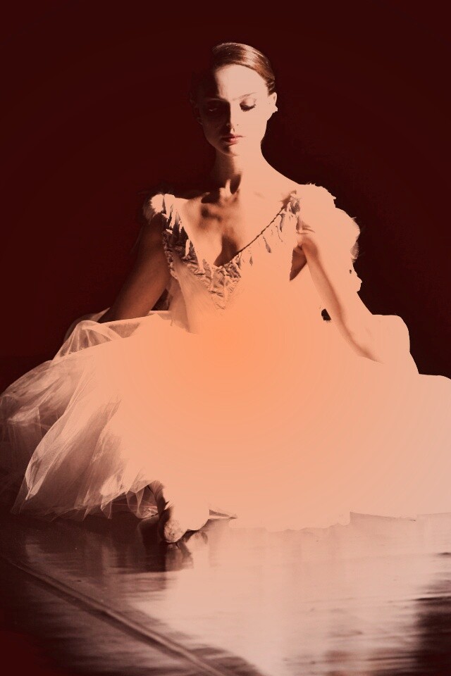 Черный лебедь обои