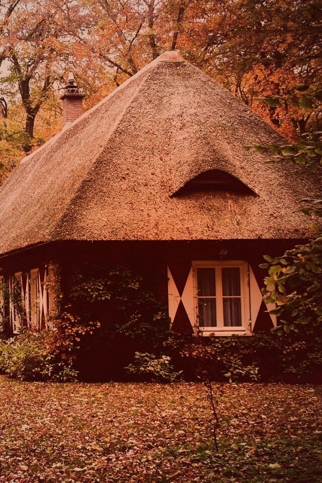 Домик в осеннем лесу обои