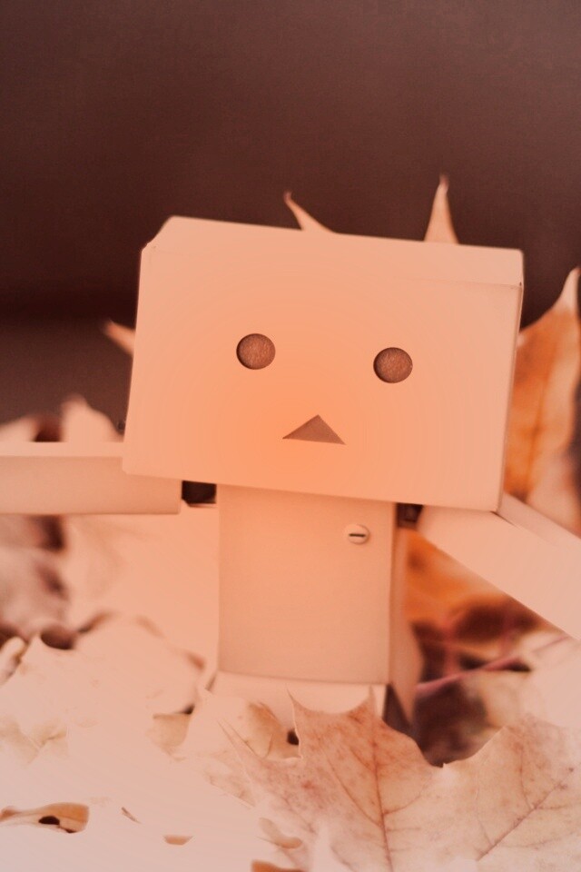  Yotsubato Danbo резвится листьях обои
