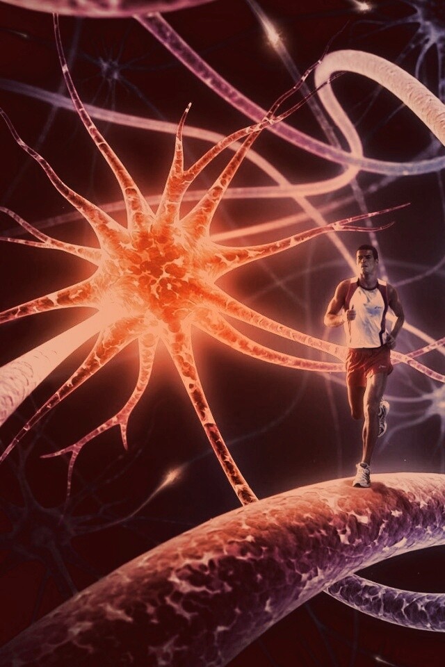 Бег мыслей обои