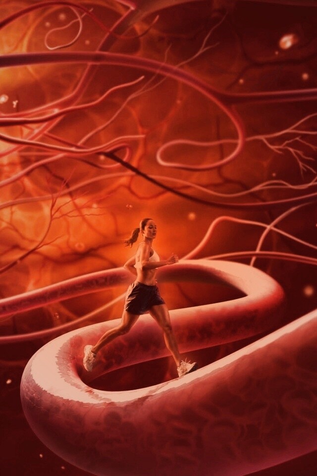 Бег крови обои