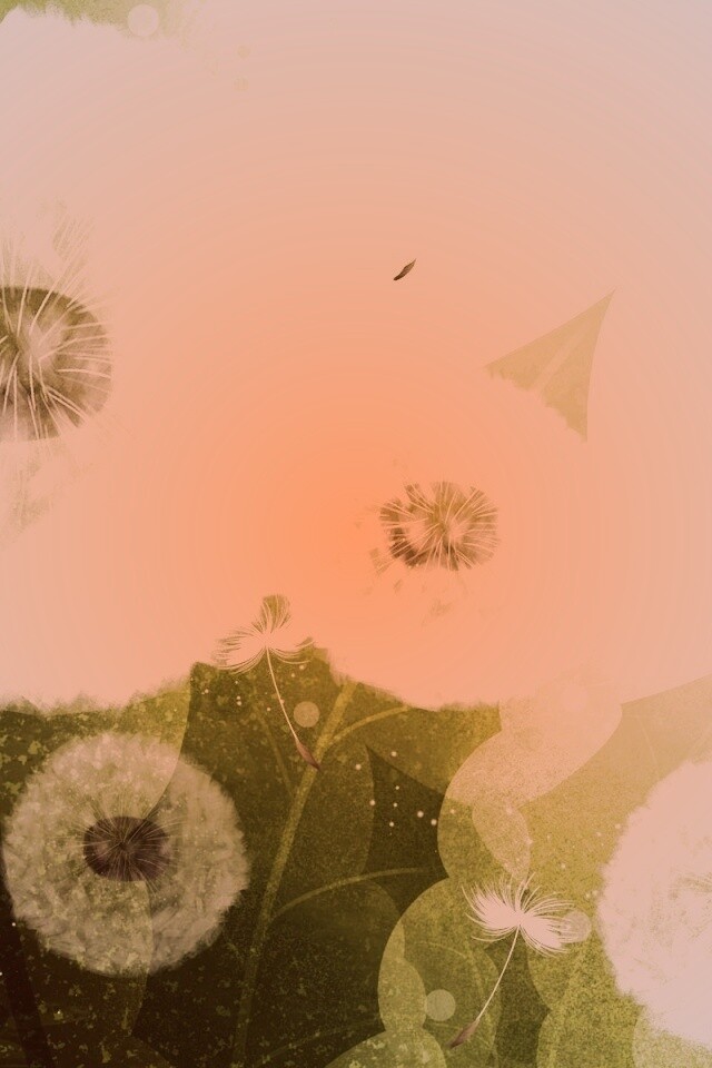 Одуванчики обои