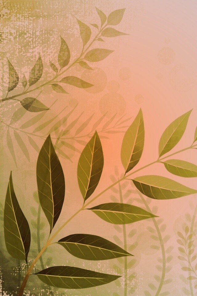 Веточка молодых листьев обои