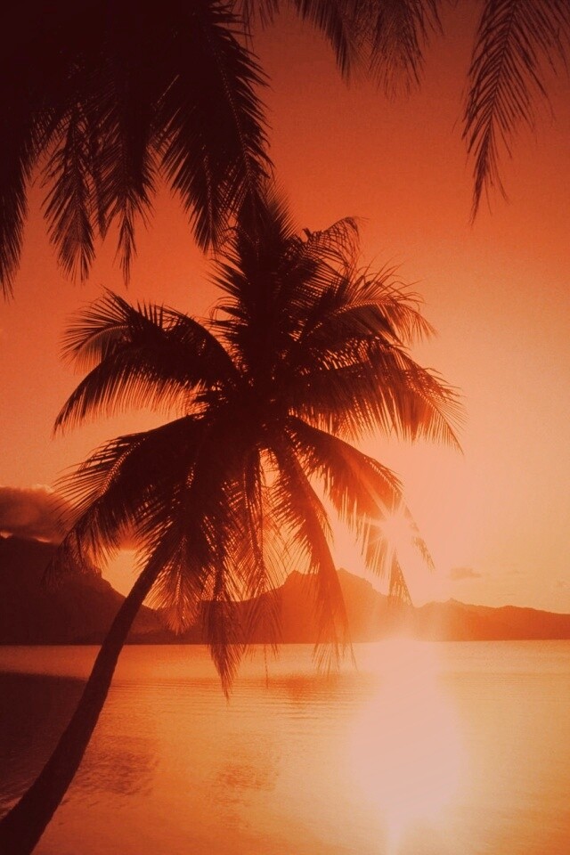 Закат в раю обои