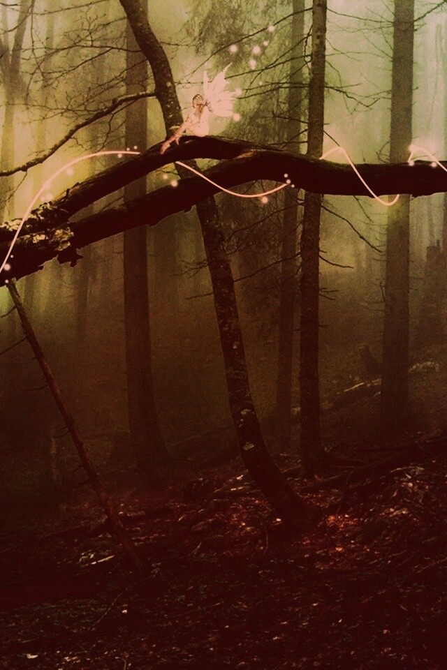 Лесные феи обои