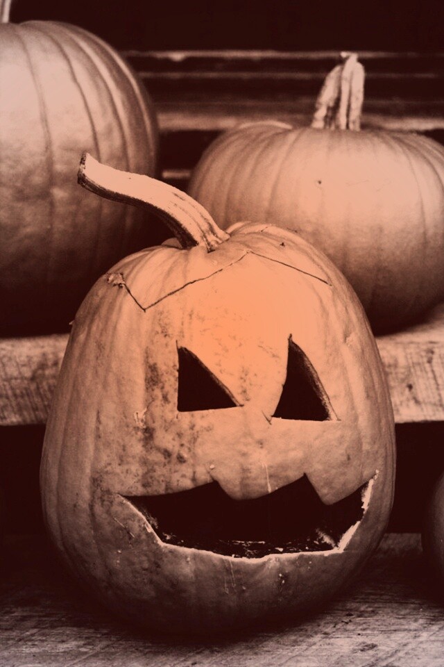 Тыквы на хэллоуин обои