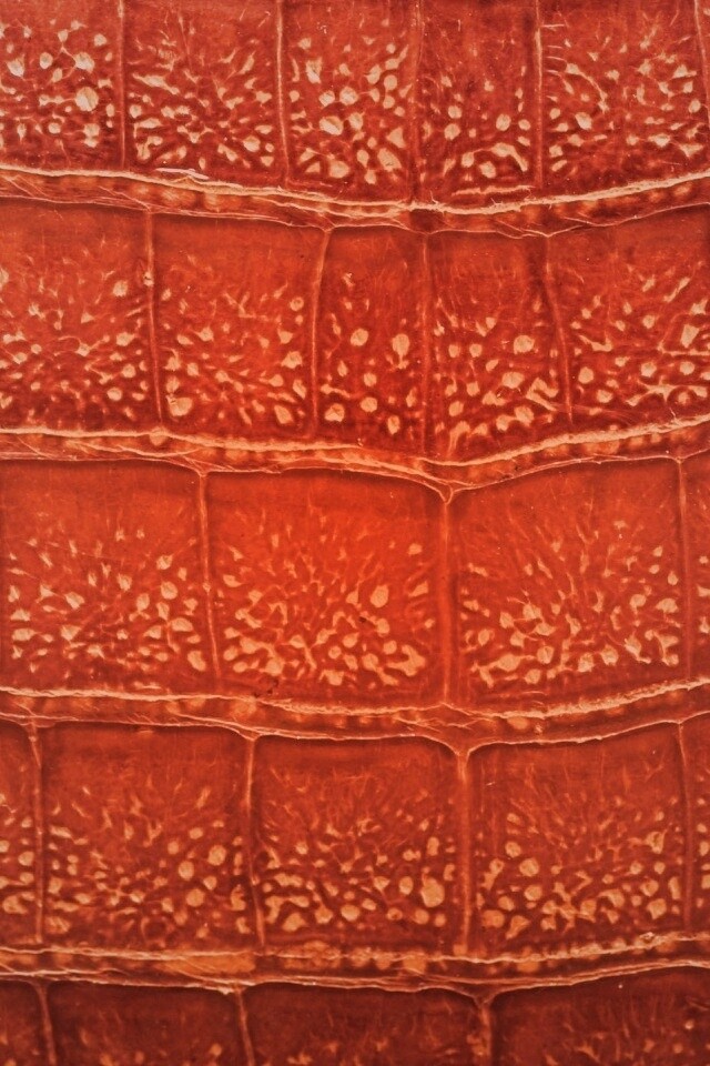 Текстура крокодильей кожи обои