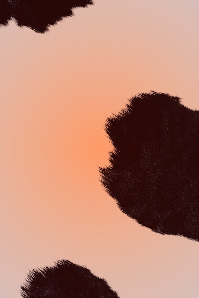 Шкура коровы обои