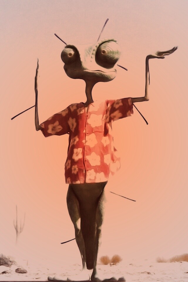 Ранго и кактус обои