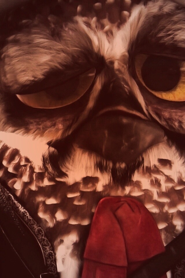 Совы-мариачи из Ранго обои