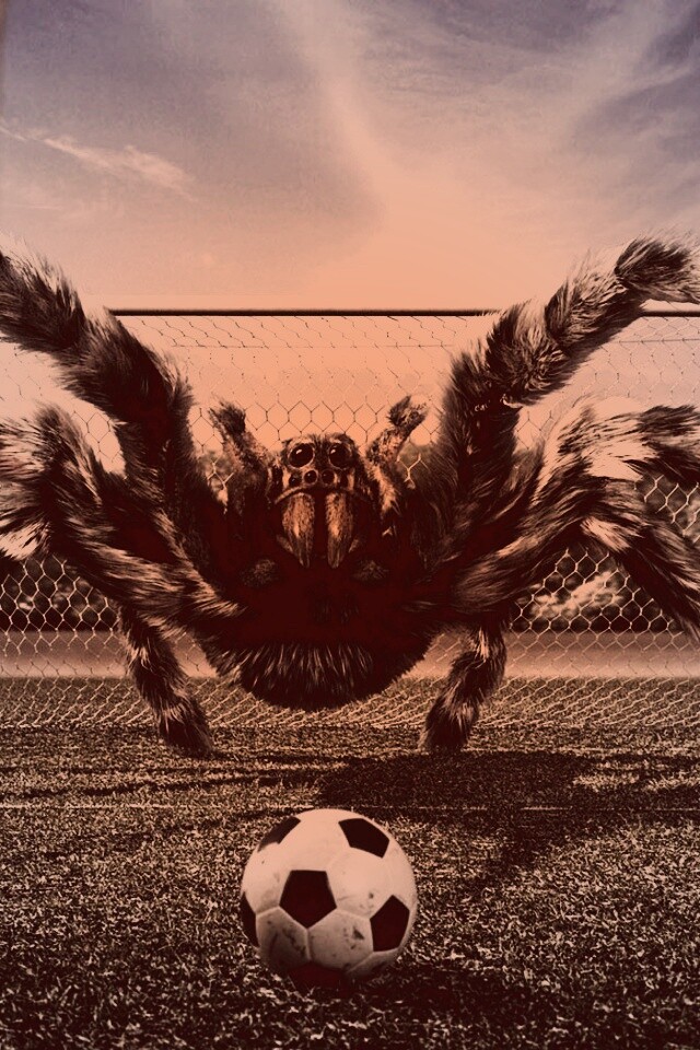 Вратарь обои