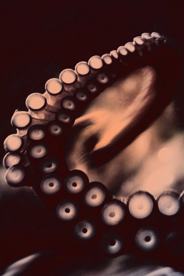 Щупальце обои