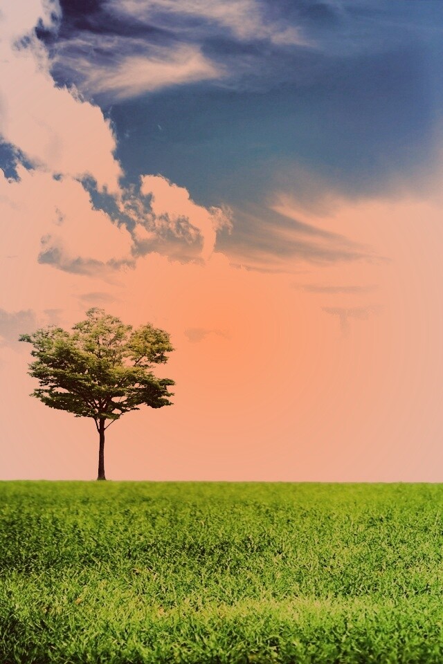 Один в целом мире обои