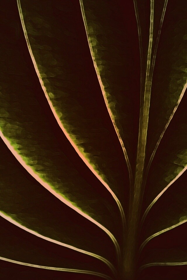 Неоновый лист обои