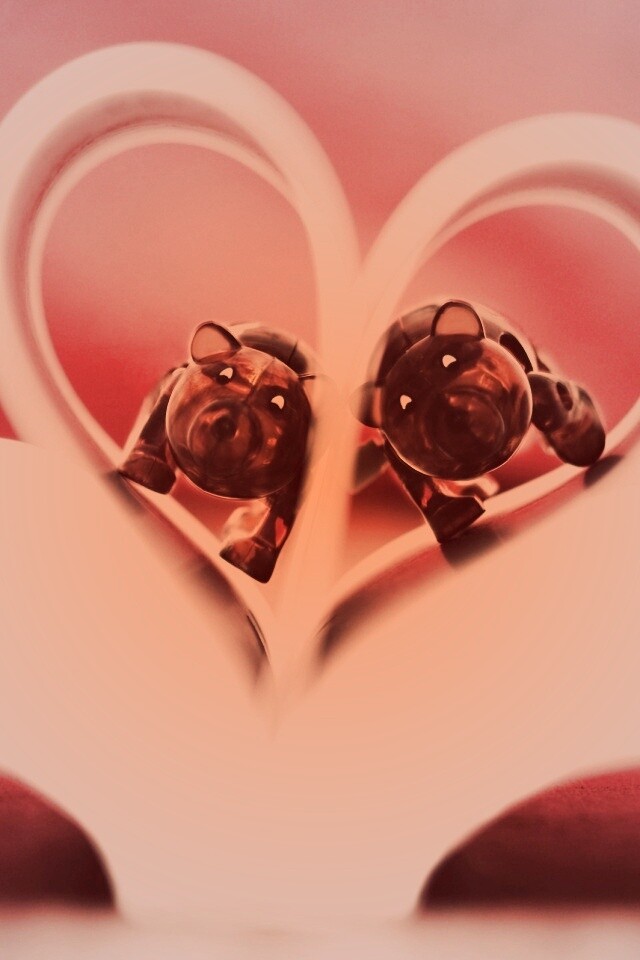 Фигурки мишек в книге обои