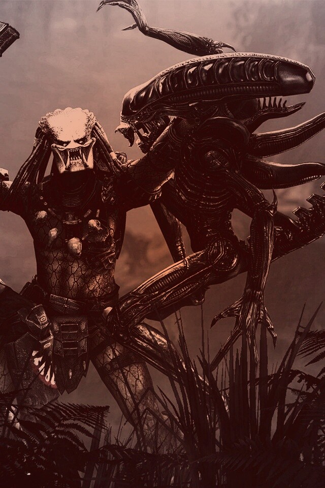 Чужой против Хищника обои