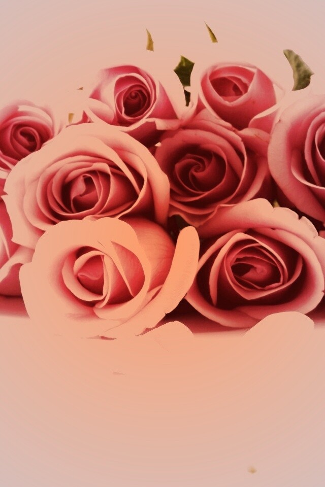 Букет роз обои