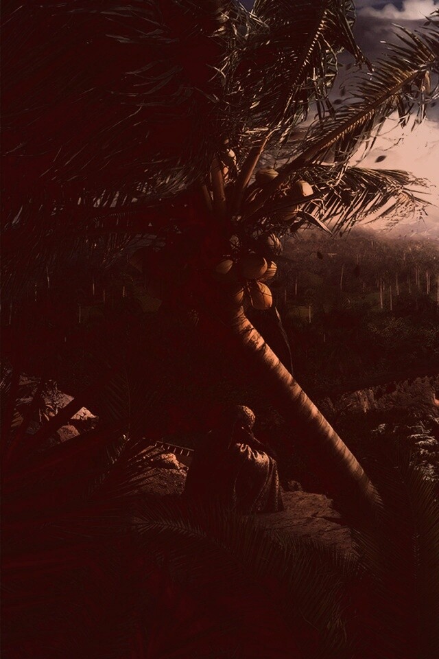 Вид на джунгли обои