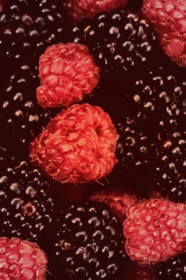 Малина и ежевика обои