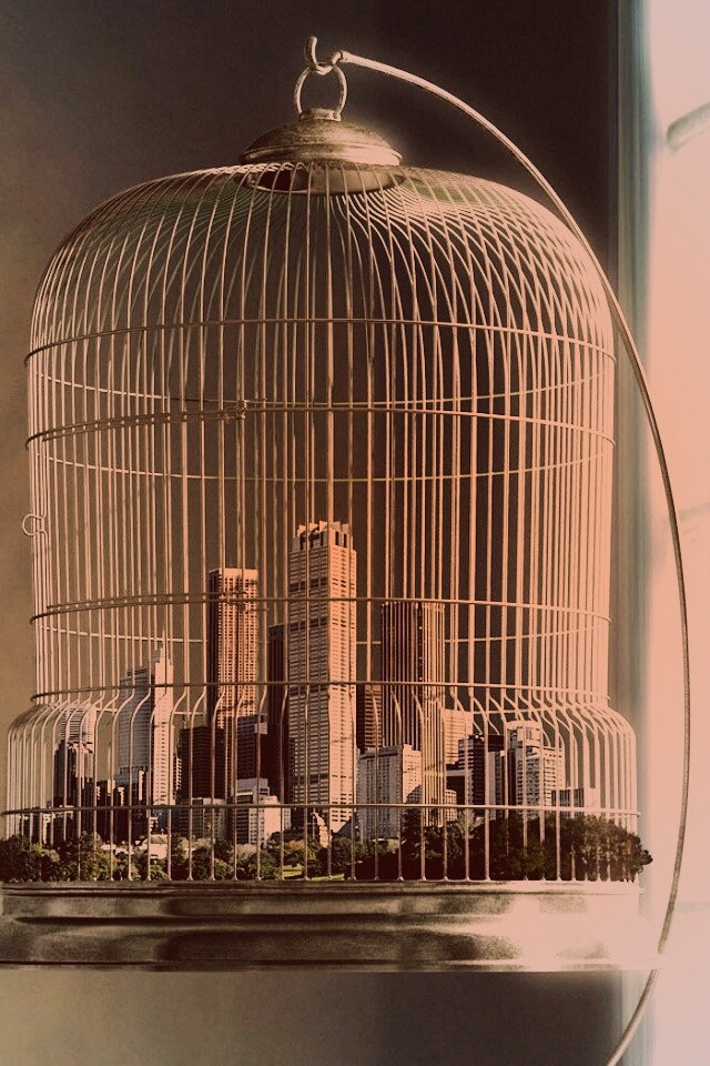 Город в клетке обои