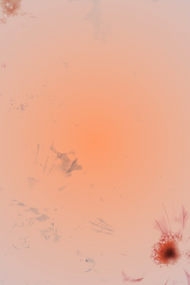 Цветочная эйфория обои