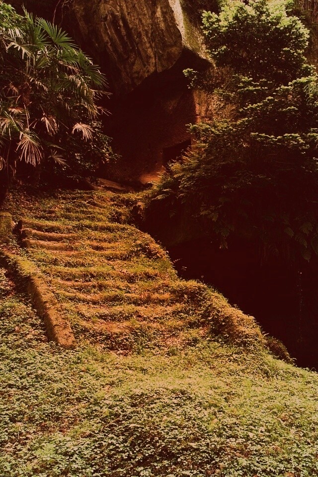 Старинный лесной храм обои