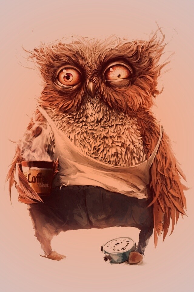 Не спящая сова обои