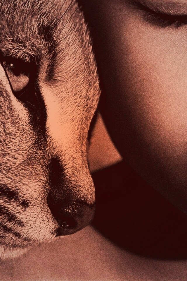 Человек и природа обои