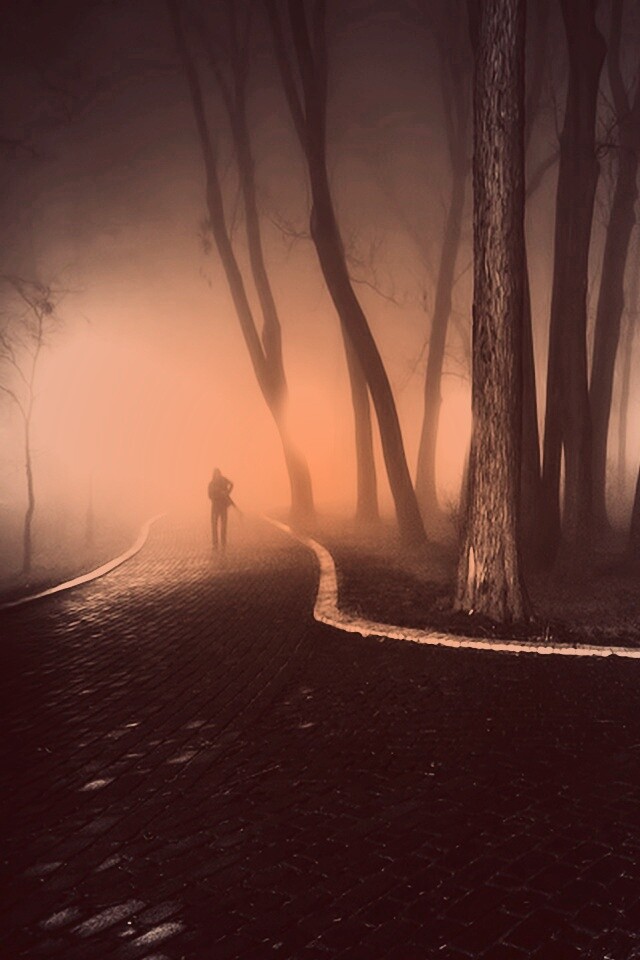 Пустынный лабиринт парковых дорожек обои