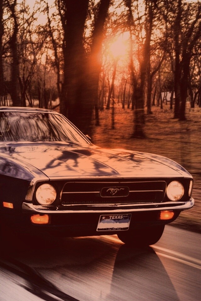 Мустанг обои