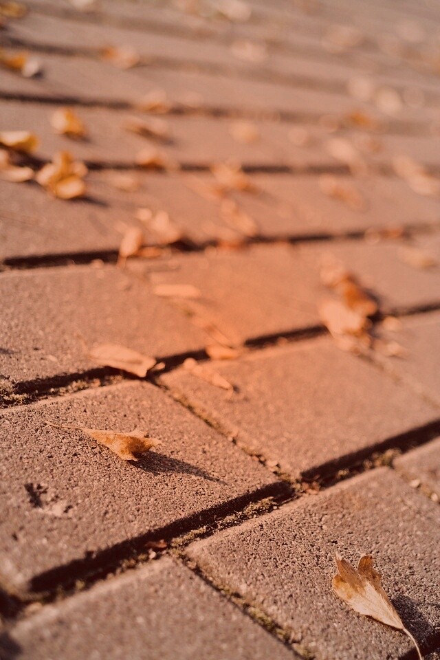 Тротуар обои