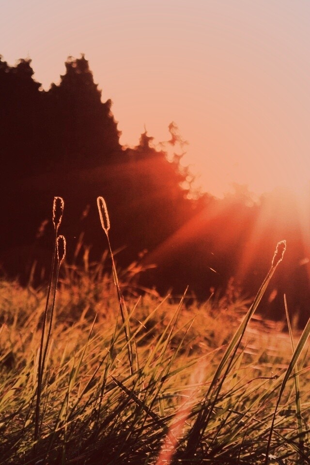 Красота природы обои