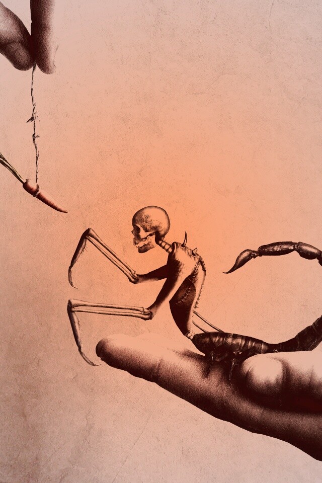 Кормёжка смерти обои